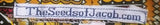 Dashiki israelita hebreo con flecos dorados - Tallas juveniles