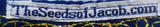 Hebrew Israelite Embroidered Dashiki w/ Fringes (Blue)