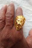 Hebrew Israelite Lion of Judah Tribal Ring