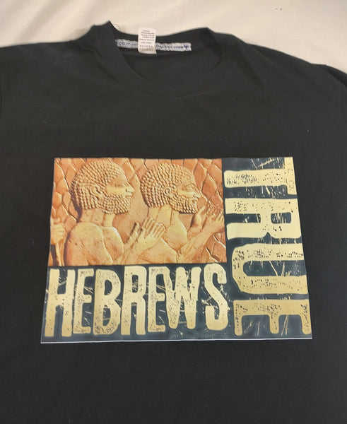 Camiseta hebrea israelita con YHWH (en hebreo antiguo) y Menorá Sagrada con flecos dorados o plateados premium