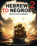 Hebrews 2 to Negroes - Vol 1  (Ronald Dalton)